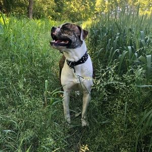 Meet your Posher, Chaela